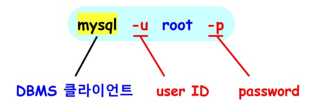 로컬 MySQL 서버 접속