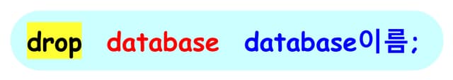 데이터베이스 삭제